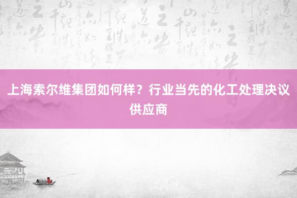 上海索尔维集团如何样？行业当先的化工处理决议供应商